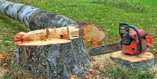 Best Firewood Processing and Delivery  in Stoneville, NC